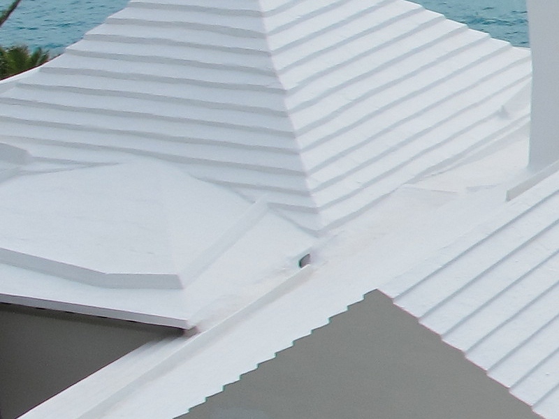 Day6 - 16 Bermuda roof sample closeup 20-Jan-2010